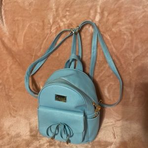 Back pack purse
